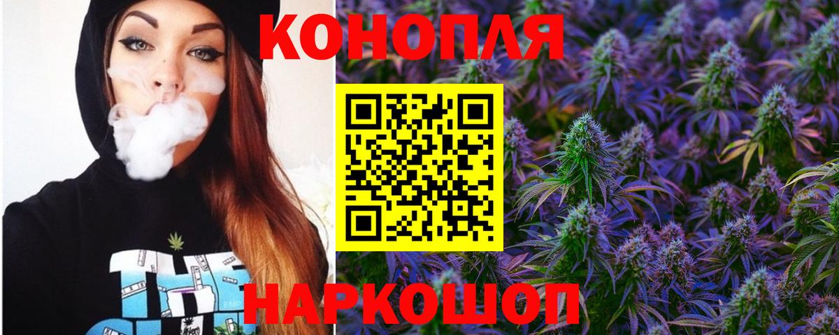 Шишки марихуана планчик Новодвинск